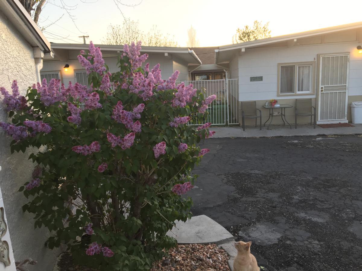 Midway Motel Caliente 외부 사진
